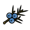 Juniper Solutions logo - Montana technology consulting for conservation organizations